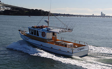 Cygnet II