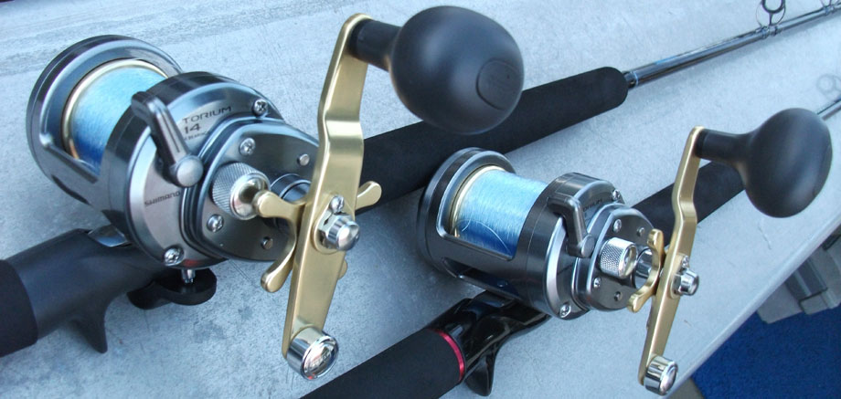 Fishing charters in Auckland with Sea Genie Fishing Charters